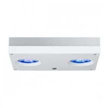 Load image into Gallery viewer, AI Hydra 32HD