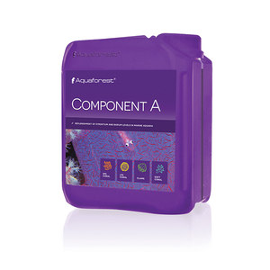 Component A 2000ml